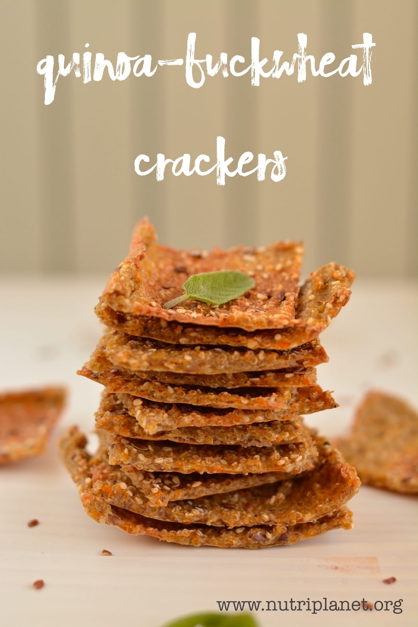 QuinoaBuckwheat Crackers with Pumpkin