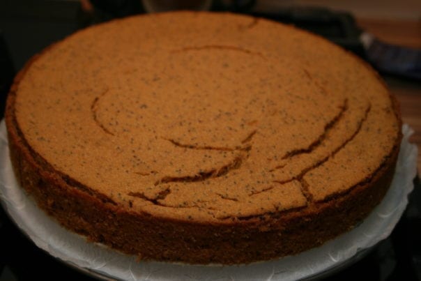 Oven-baked sugar-free oil-free vegan pumpkin poppy seed pie