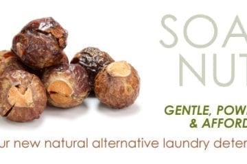 Soap nuts