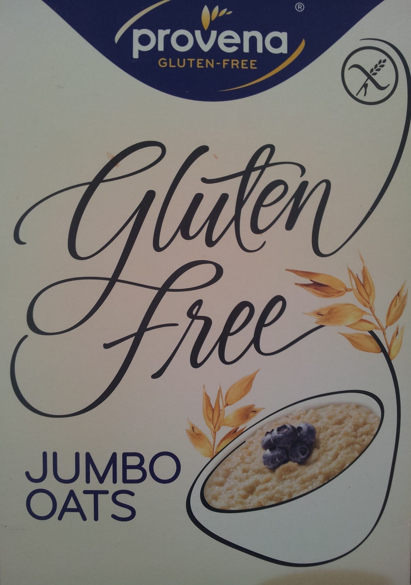 GutFriendly Oat Yogurt for Breakfast