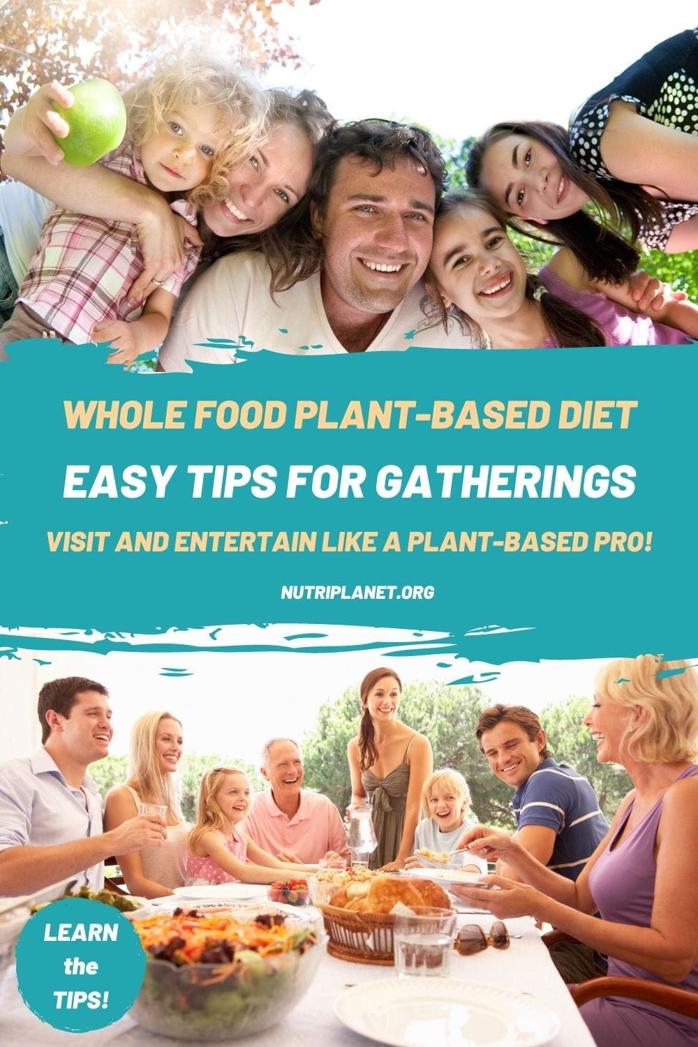 Aprende algunos consejos sencillos para mantener una dieta basada en plantas y alimentos integrales en las visitas. 