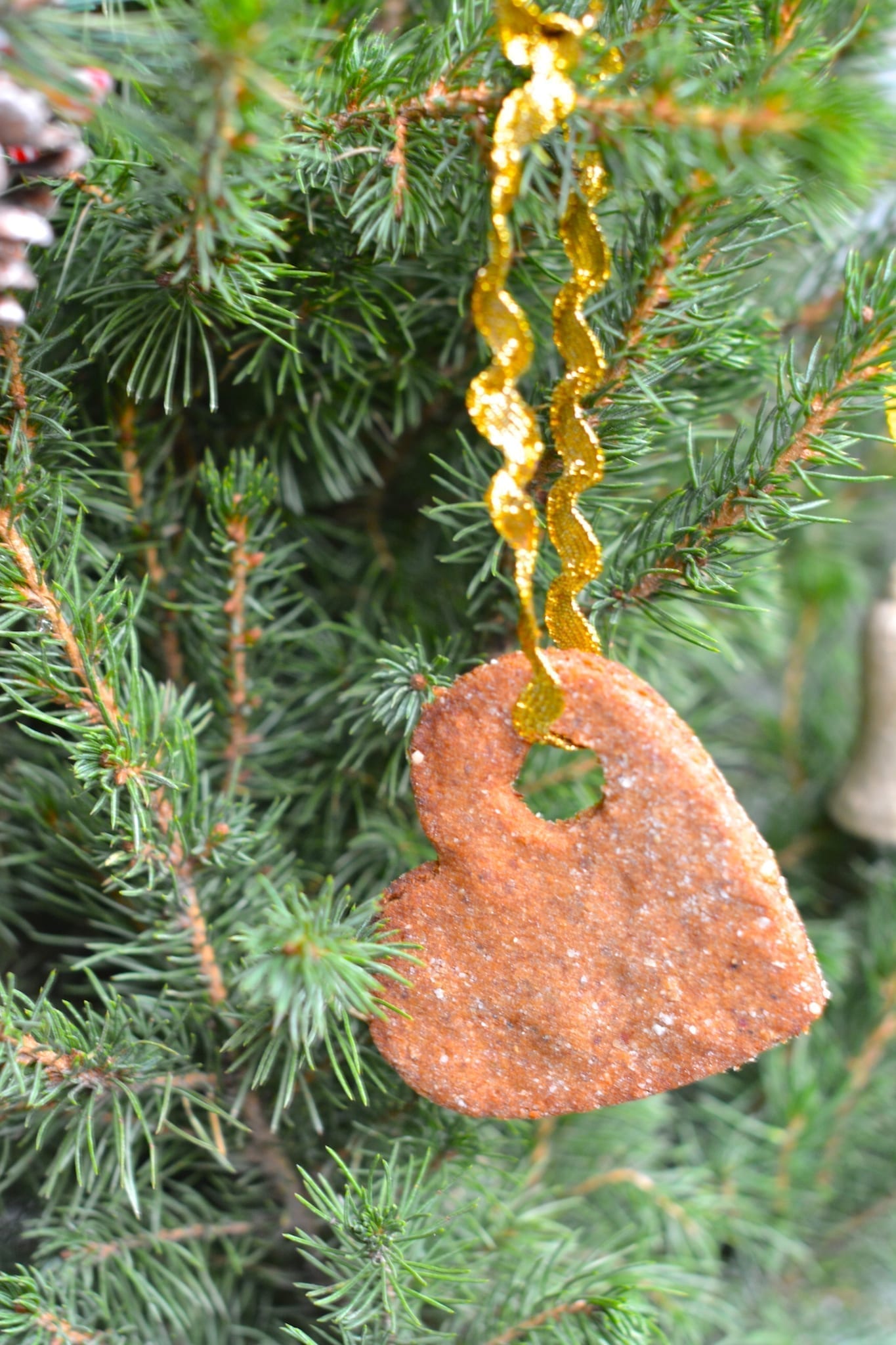Whole Food Plant-Based Gingerbread Christmas Tree Adornment