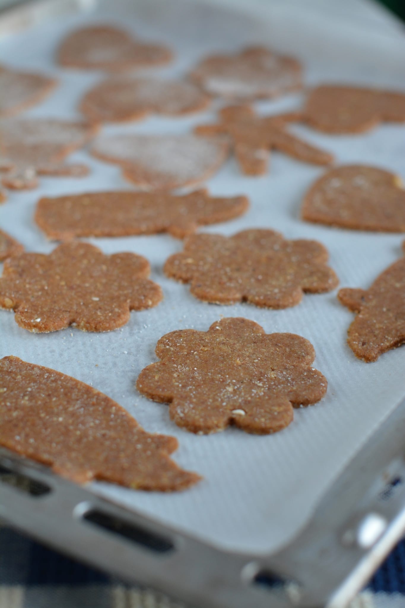 Whole Food Plant-Based Gingerbread