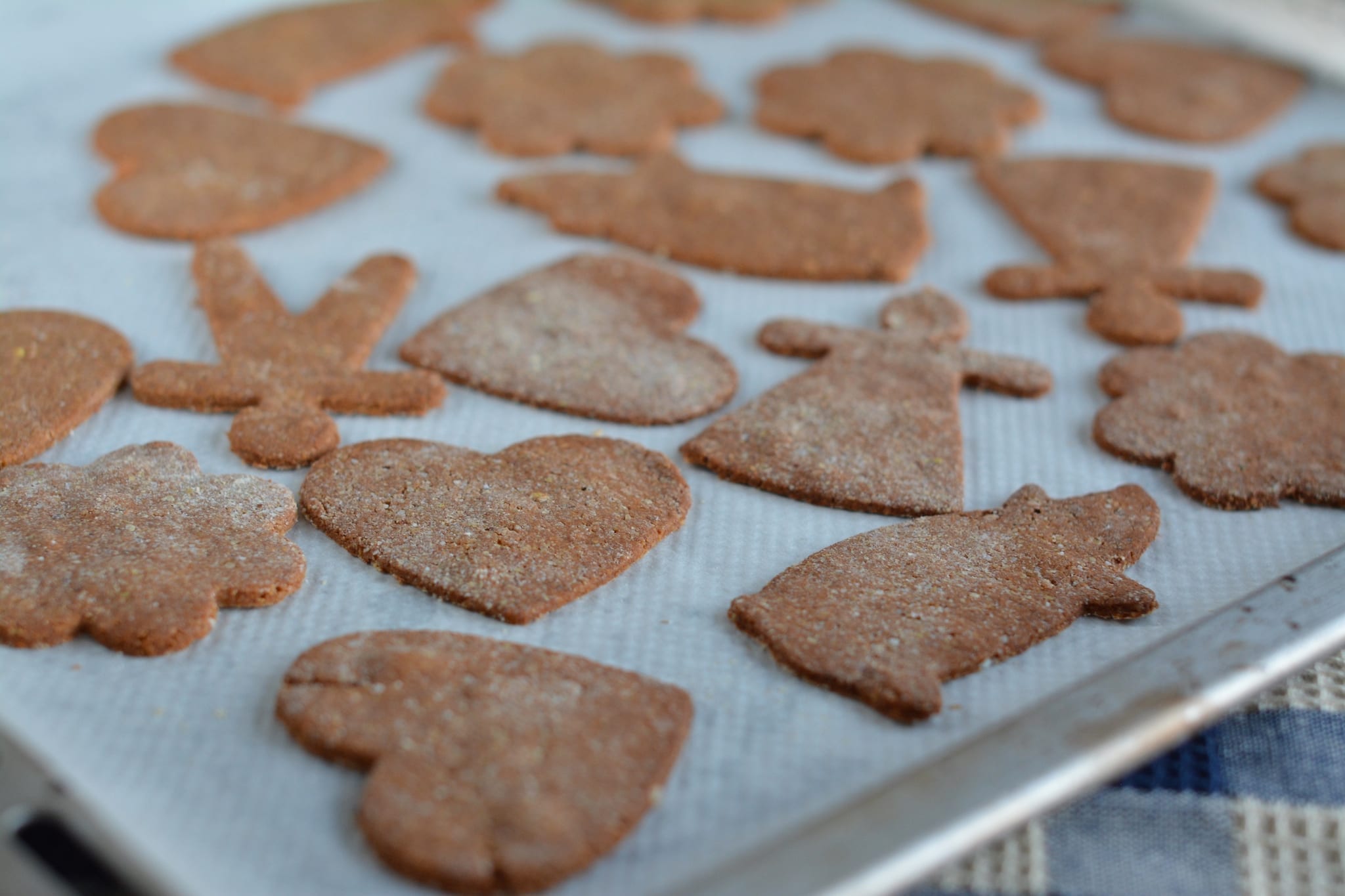 Whole Food Plant-Based Gingerbread