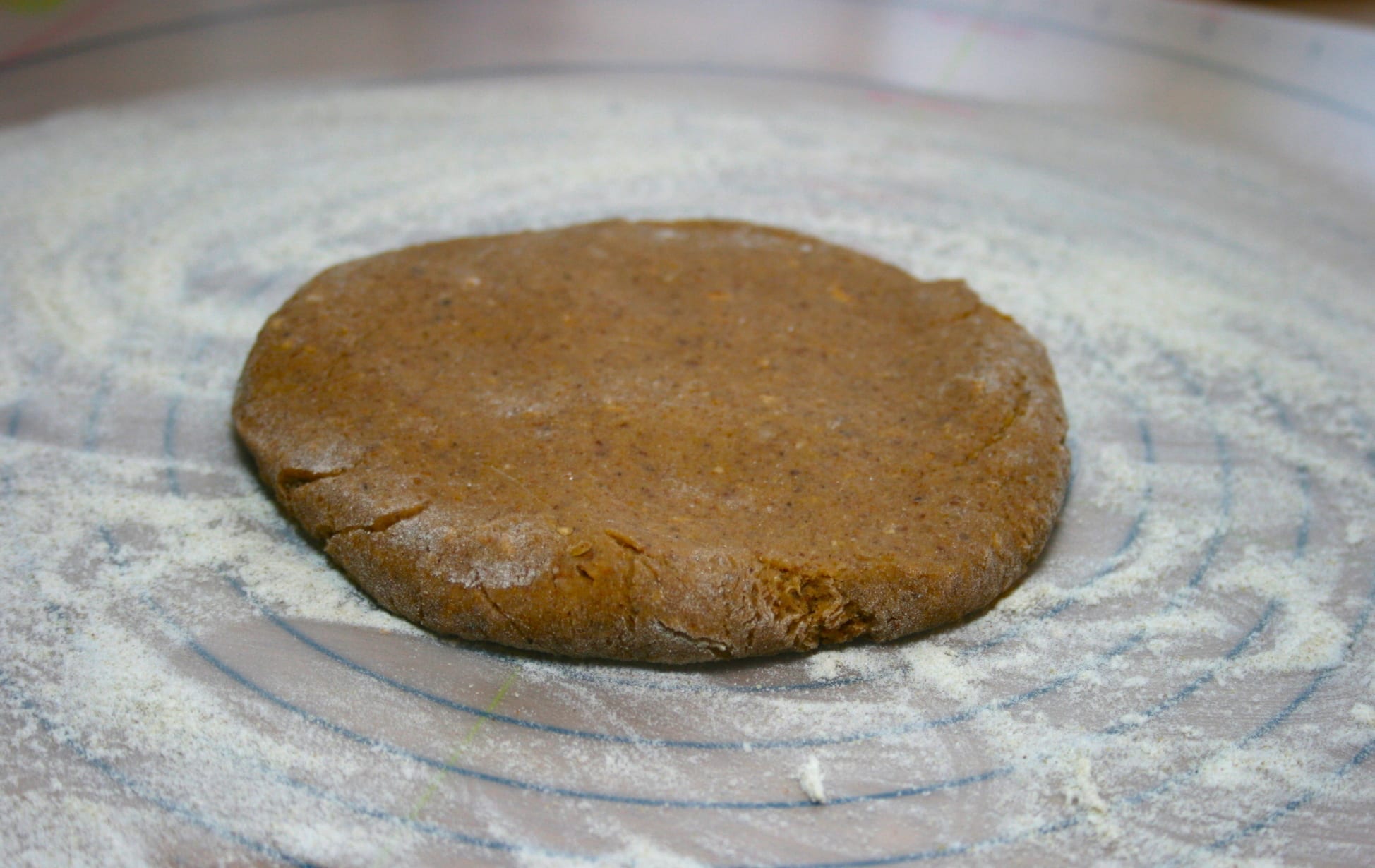 Whole Food Plant-Based Gingerbread