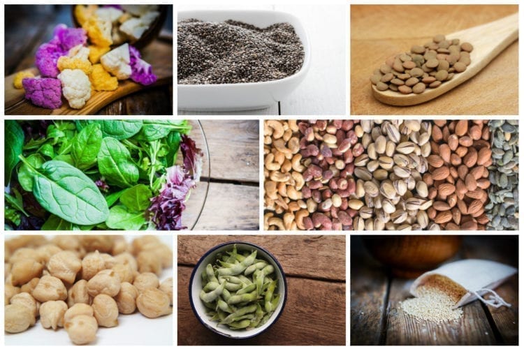 Plant Protein collage