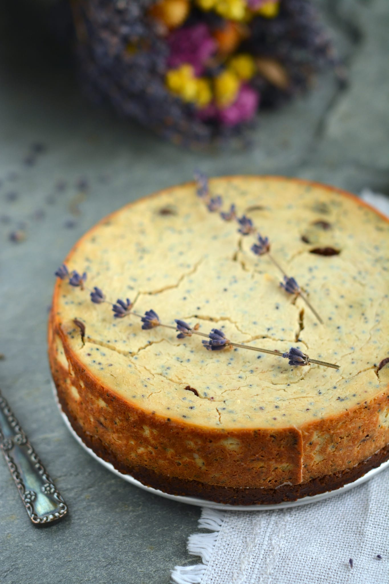 vegan-baked-cheesecake-tofu-chocolate-poppy-seeds