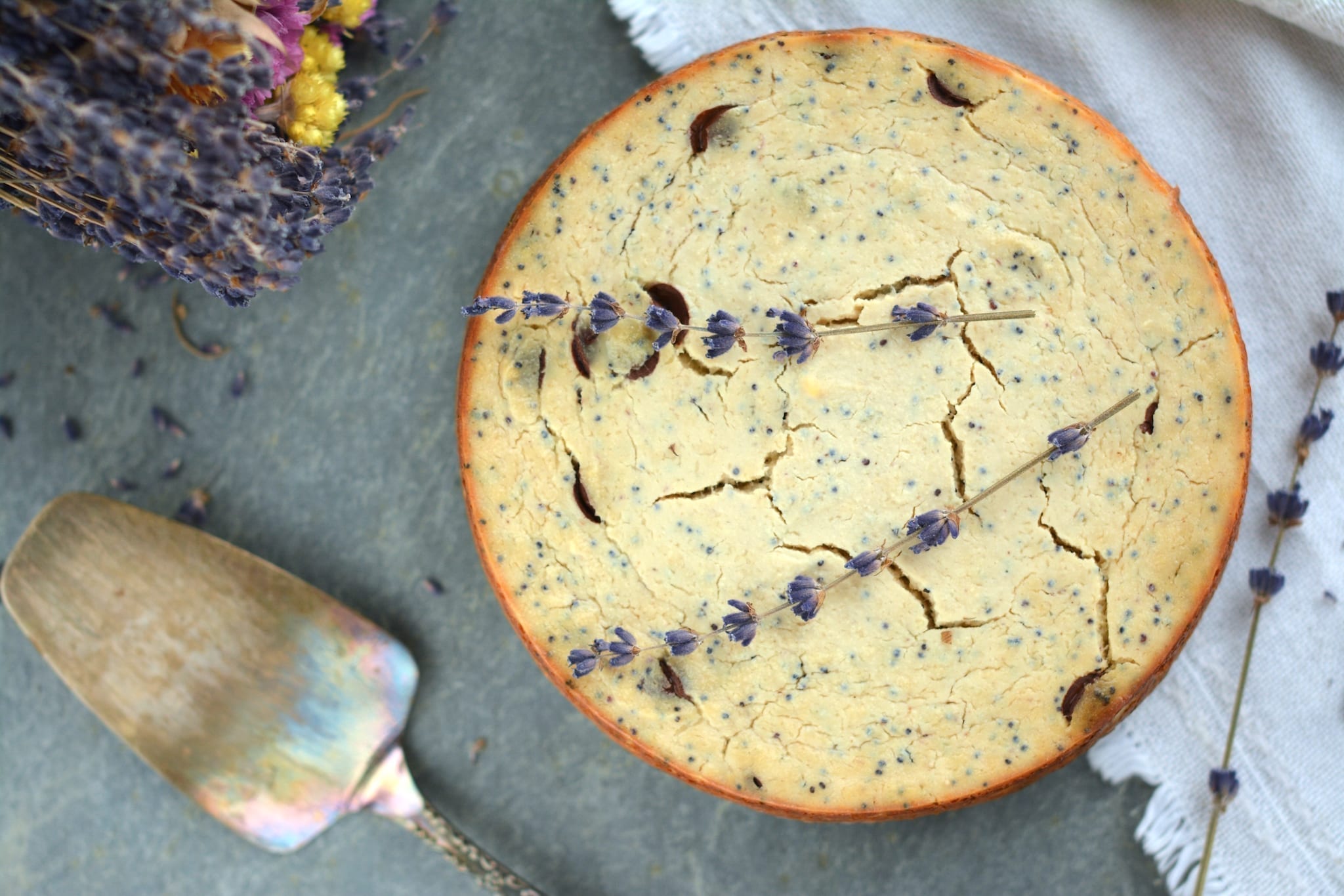 vegan-baked-cheesecake-tofu-chocolate-poppy-seeds