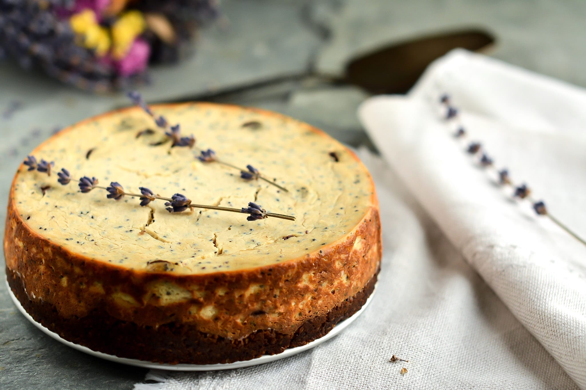 cheesecake-baked-tofu-chocolate-poppy-seeds