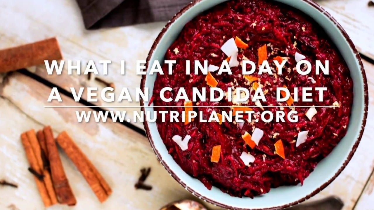 Candida Diet Recipes - What I Eat in a Day on Vegan Candida Diet