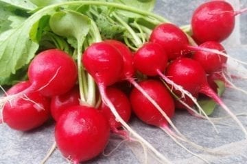 health benefits of radishes