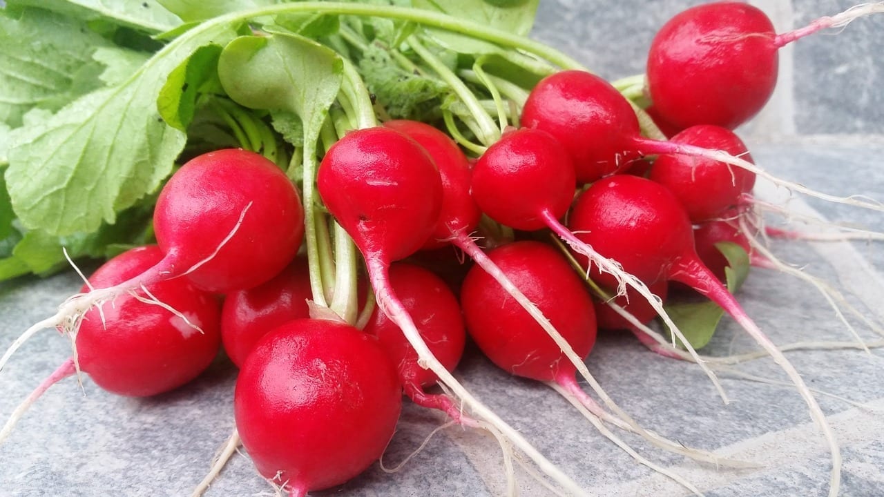 Discover the Health Benefits of Black Spanish Radish