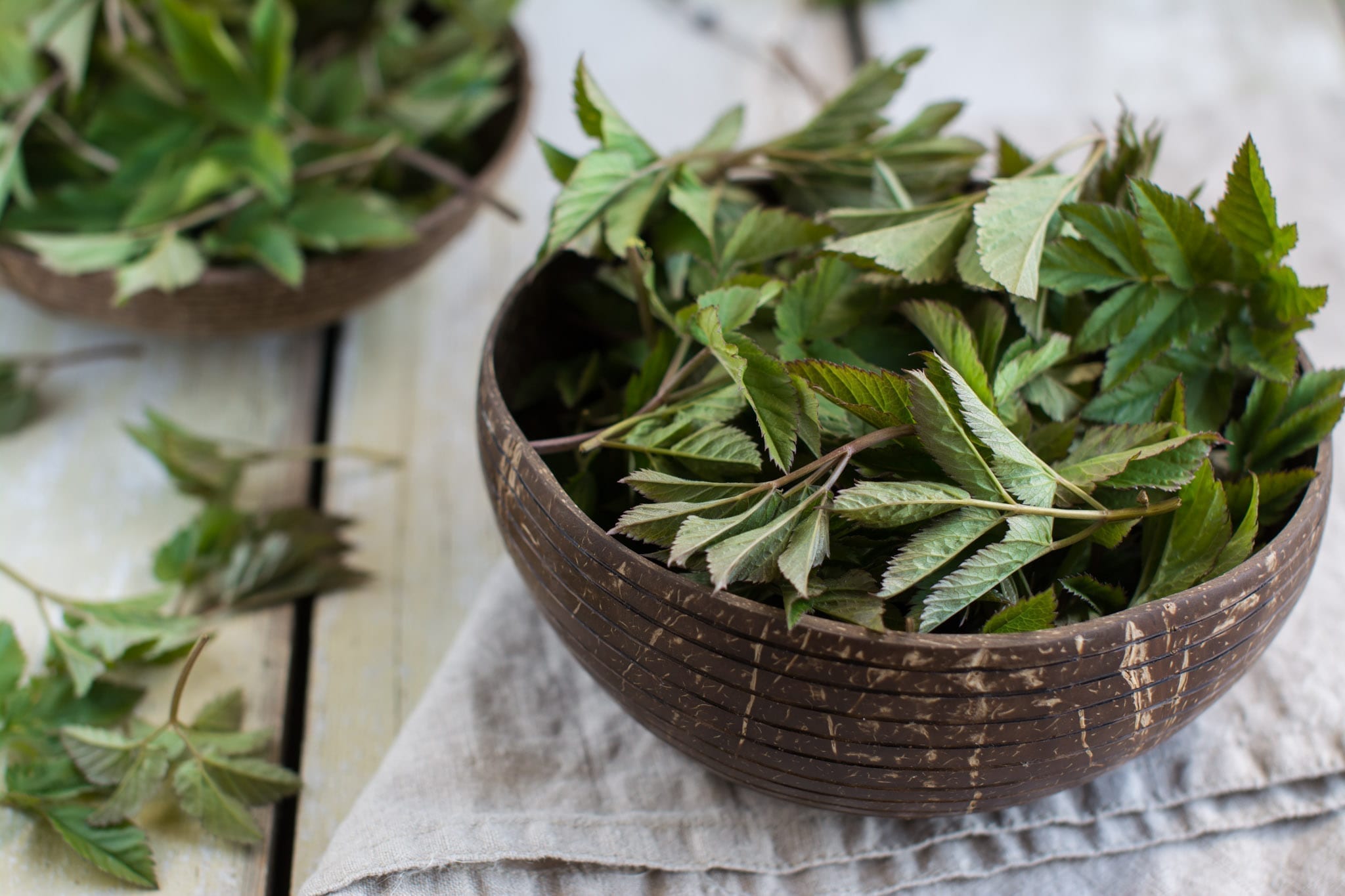 Oil-free Ground elder pesto