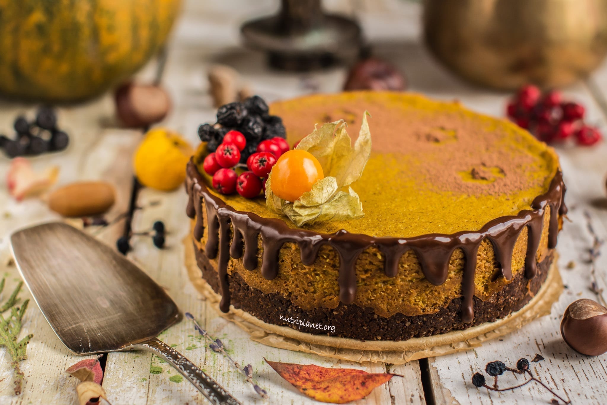 Vegan Pumpkin Cheesecake