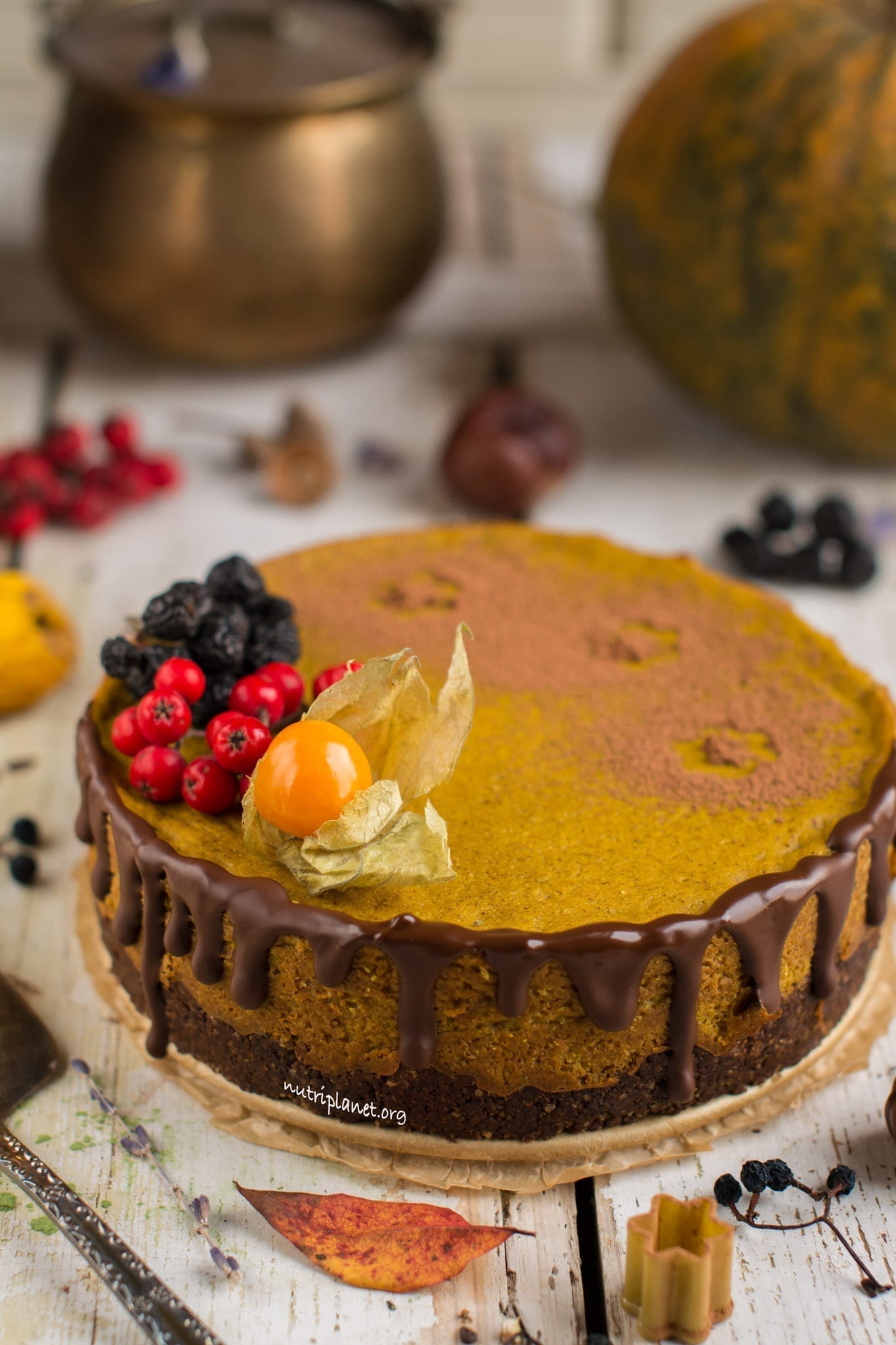 Vegan Pumpkin Cheesecake with Silken Tofu