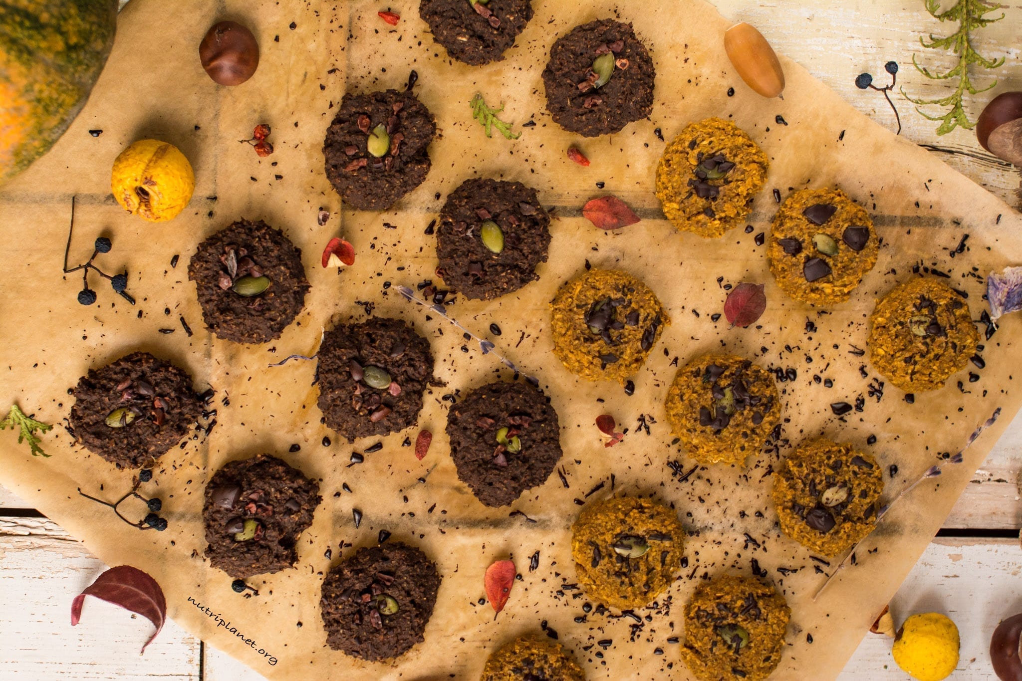 Vegan Pumpkin Chocolate Chip Cookies