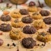 Vegan Pumpkin Chocolate Chip Cookies