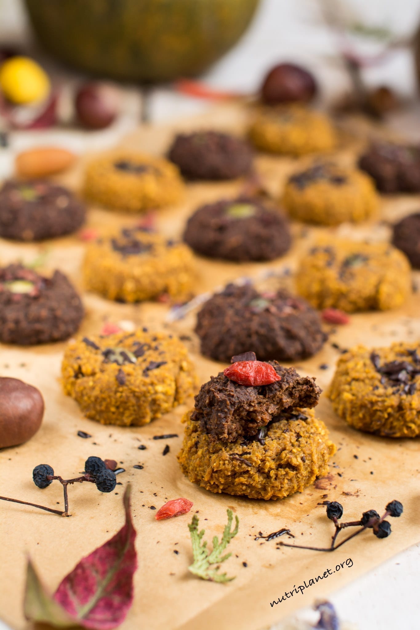 Vegan Pumpkin Chocolate Chip Cookies