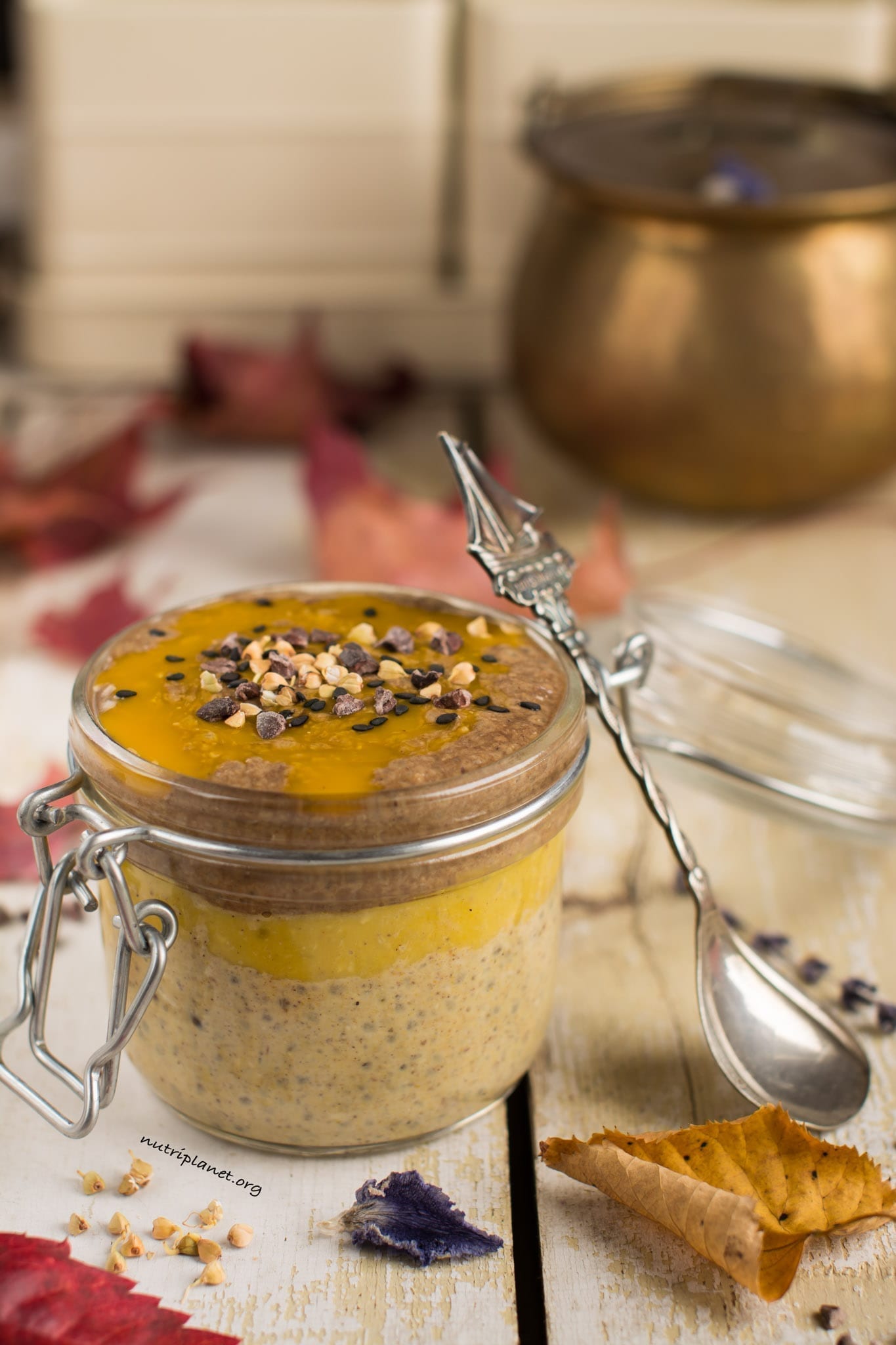 Pumpkin Chia Pudding