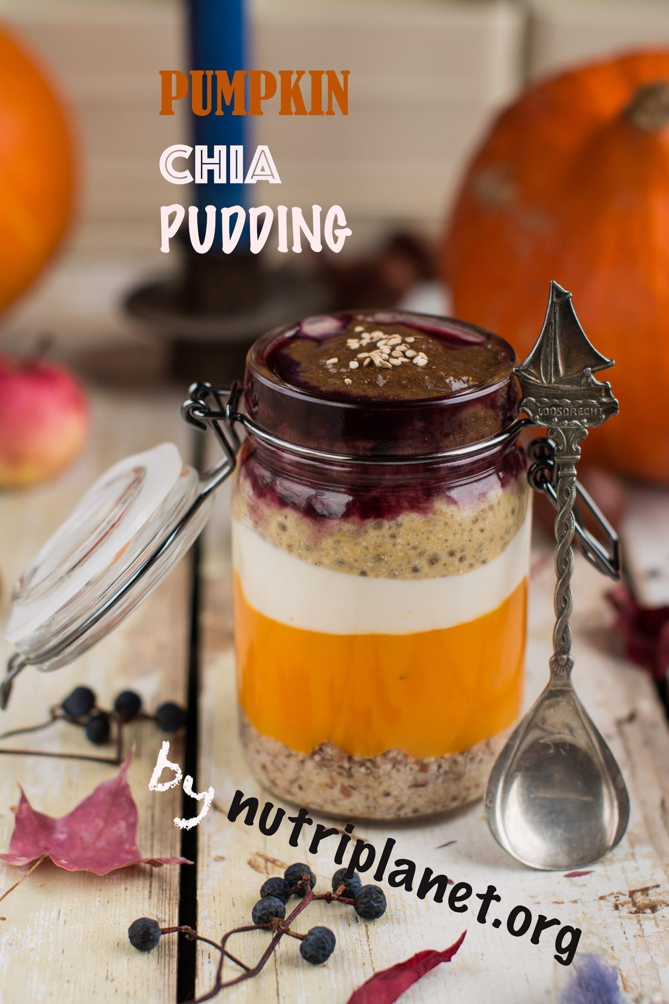 Pumpkin Chia Pudding