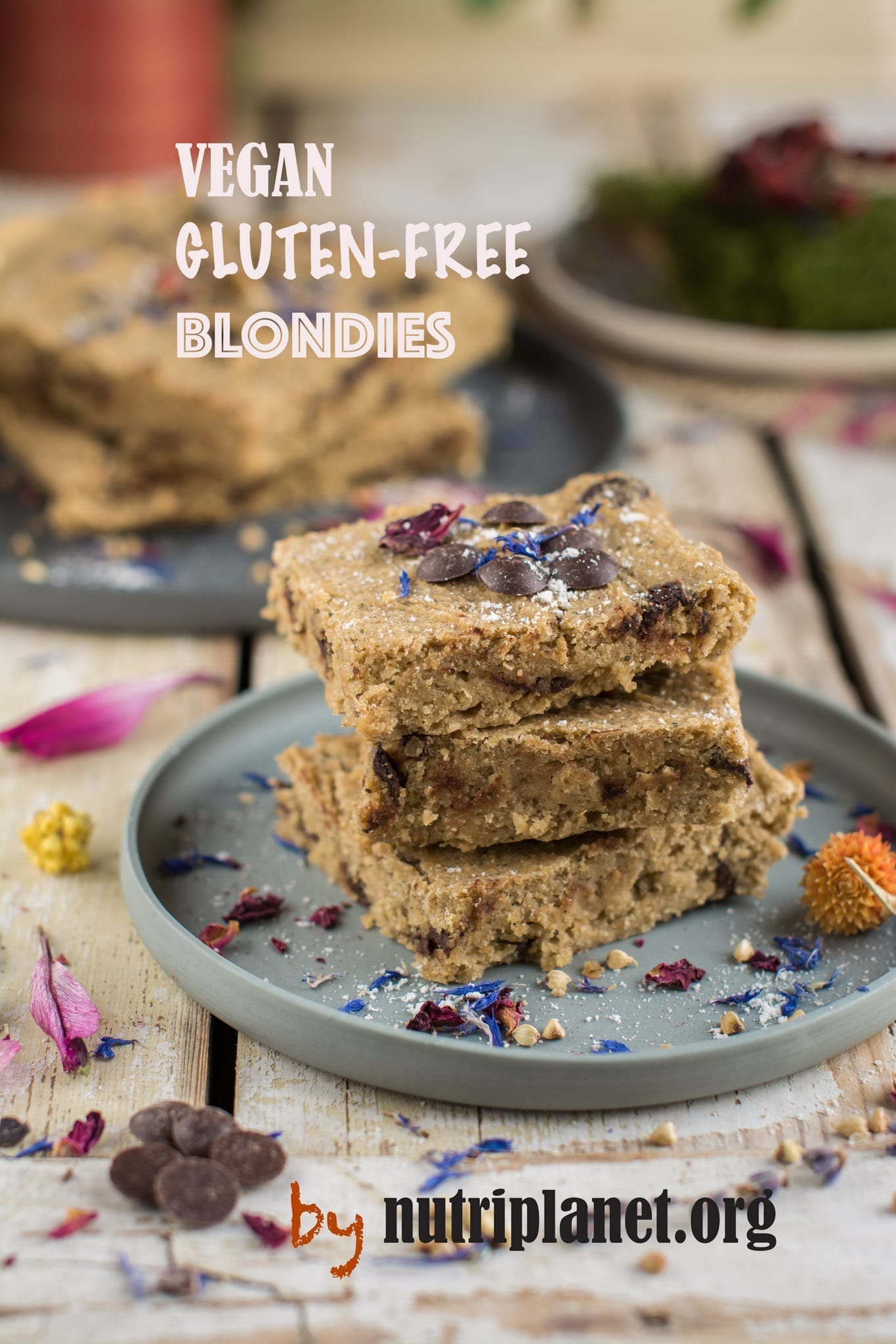 Gluten Free Vegan Blondies with chocolate chips