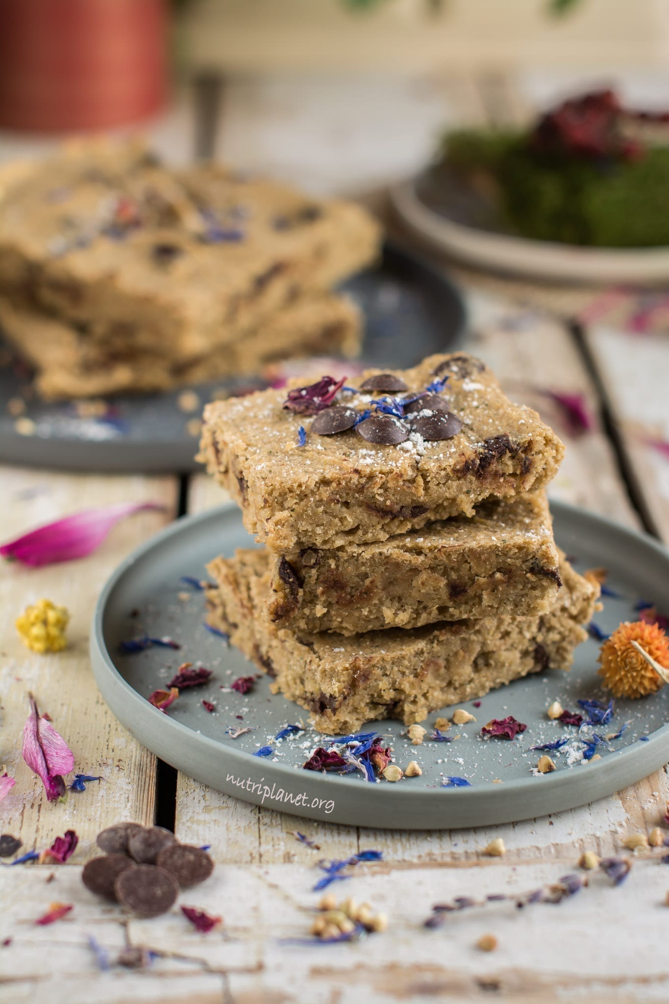 Gluten Free Vegan Blondies with chocolate chips