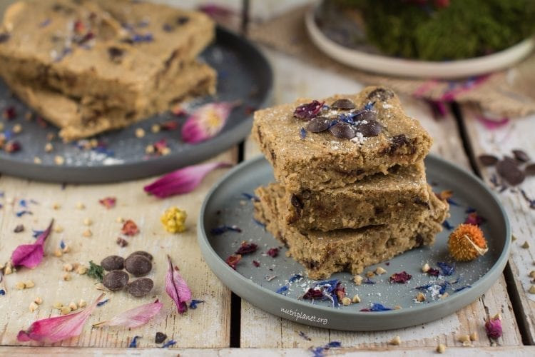 Gluten Free Vegan Blondies with chocolate chips