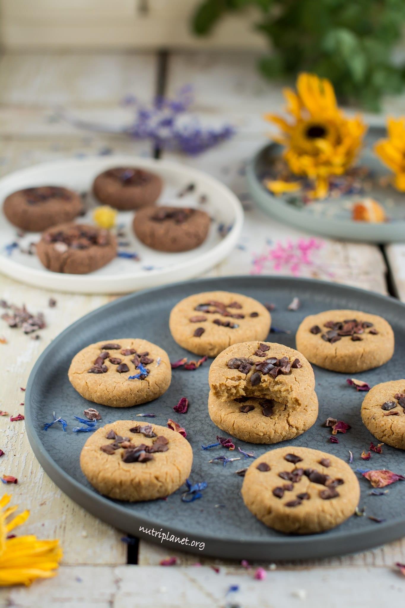 Vegan Chickpea Cookie Dough Bites aka Chickpea Cookies