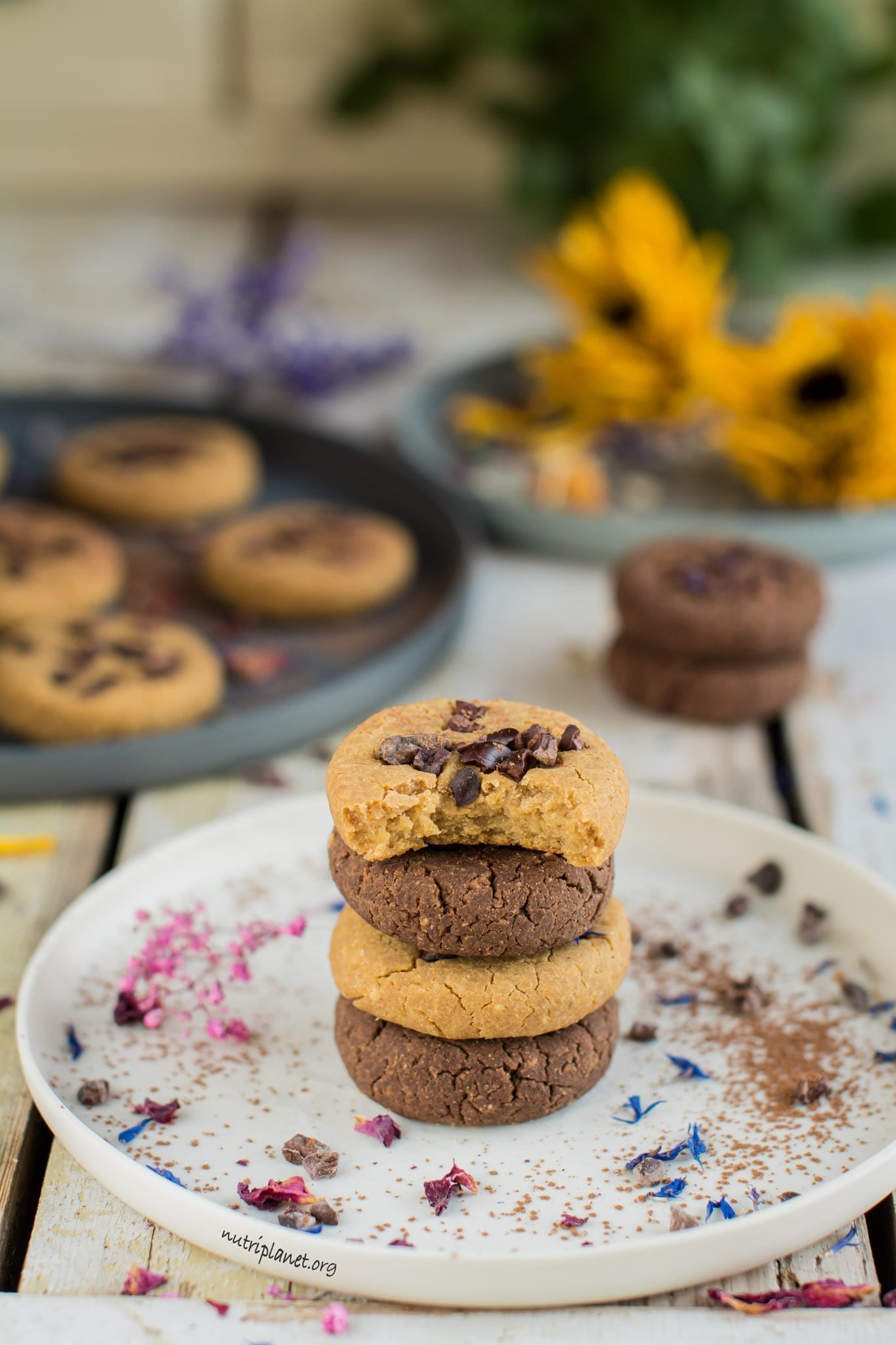 Chickpea Cookies Dough Bites aka Chickpea Cookies