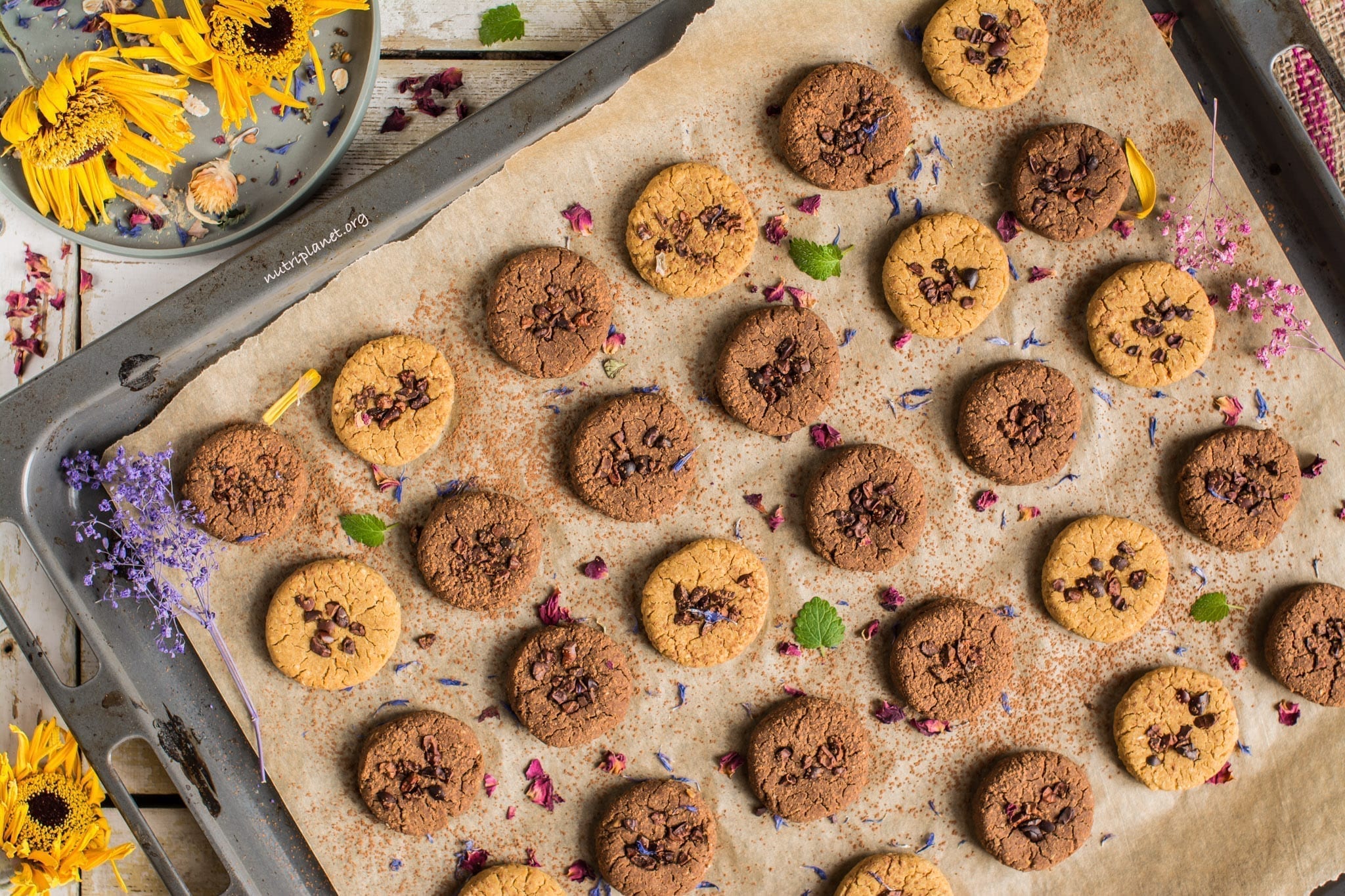 Chickpea Cookies aka Chickpea Cookies Dough Bites