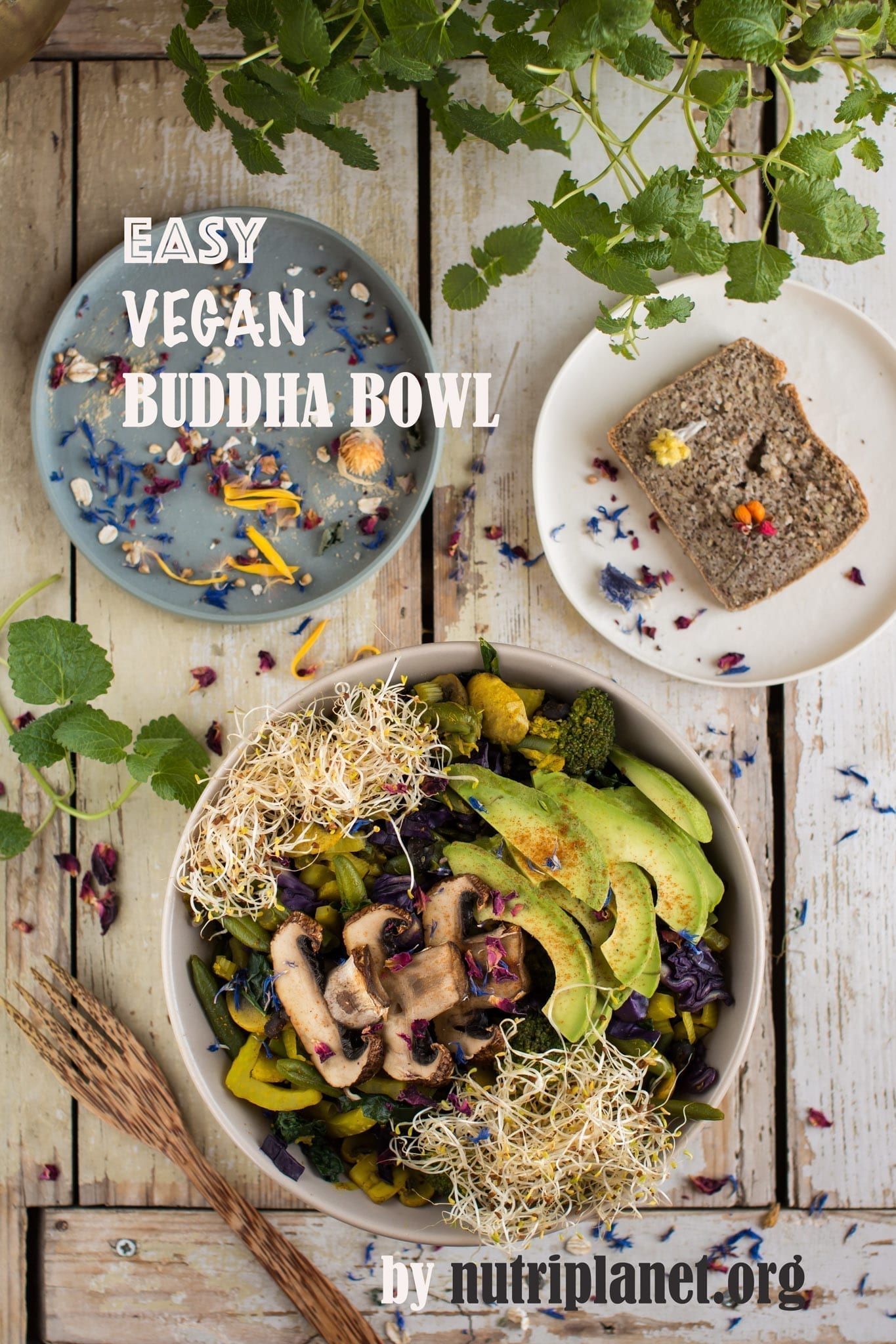 Easy Vegan Lunch Buddha Bowl