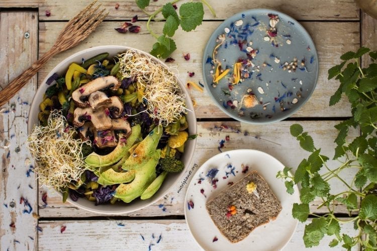 Easy Vegan Lunch Buddha Bowl