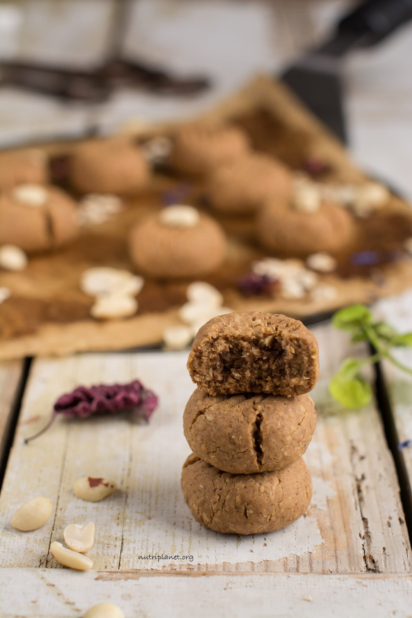 Gluten Free Vegan Shortcrust Pastry or Shortbread Dough