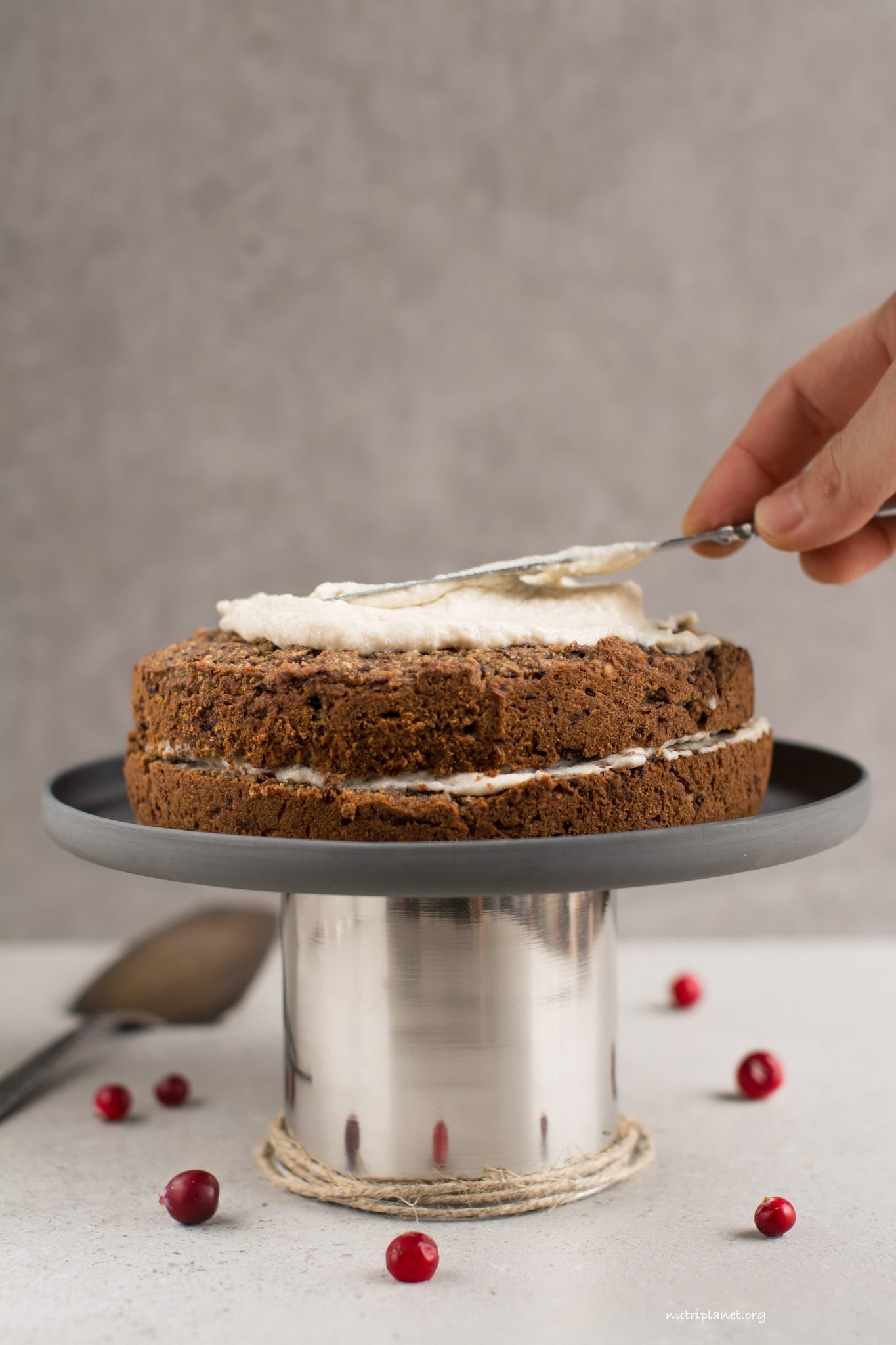 Vegan Carrot Cake with Vegan Cream Cheese Frosting