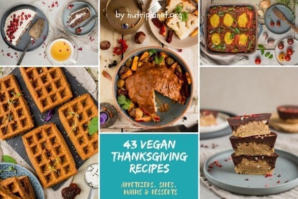 Vegan Thanksgiving Recipes [Gluten-Free and Oil-Free] | Nutriplanet