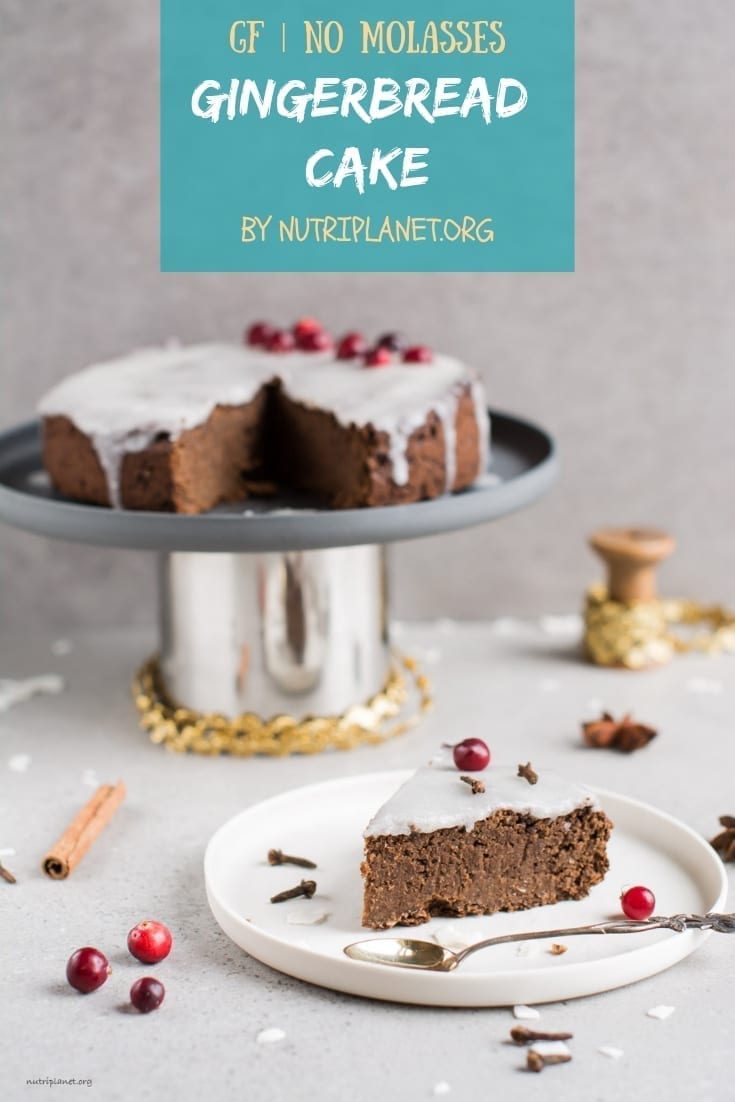 Gluten-Free Vegan Gingerbread Cake with Royal Icing