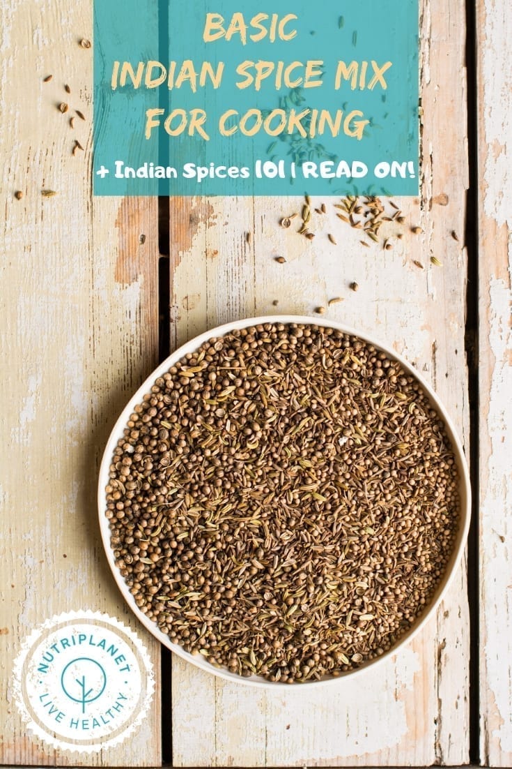 Easy Indian Spice Blend - Culinary Ginger