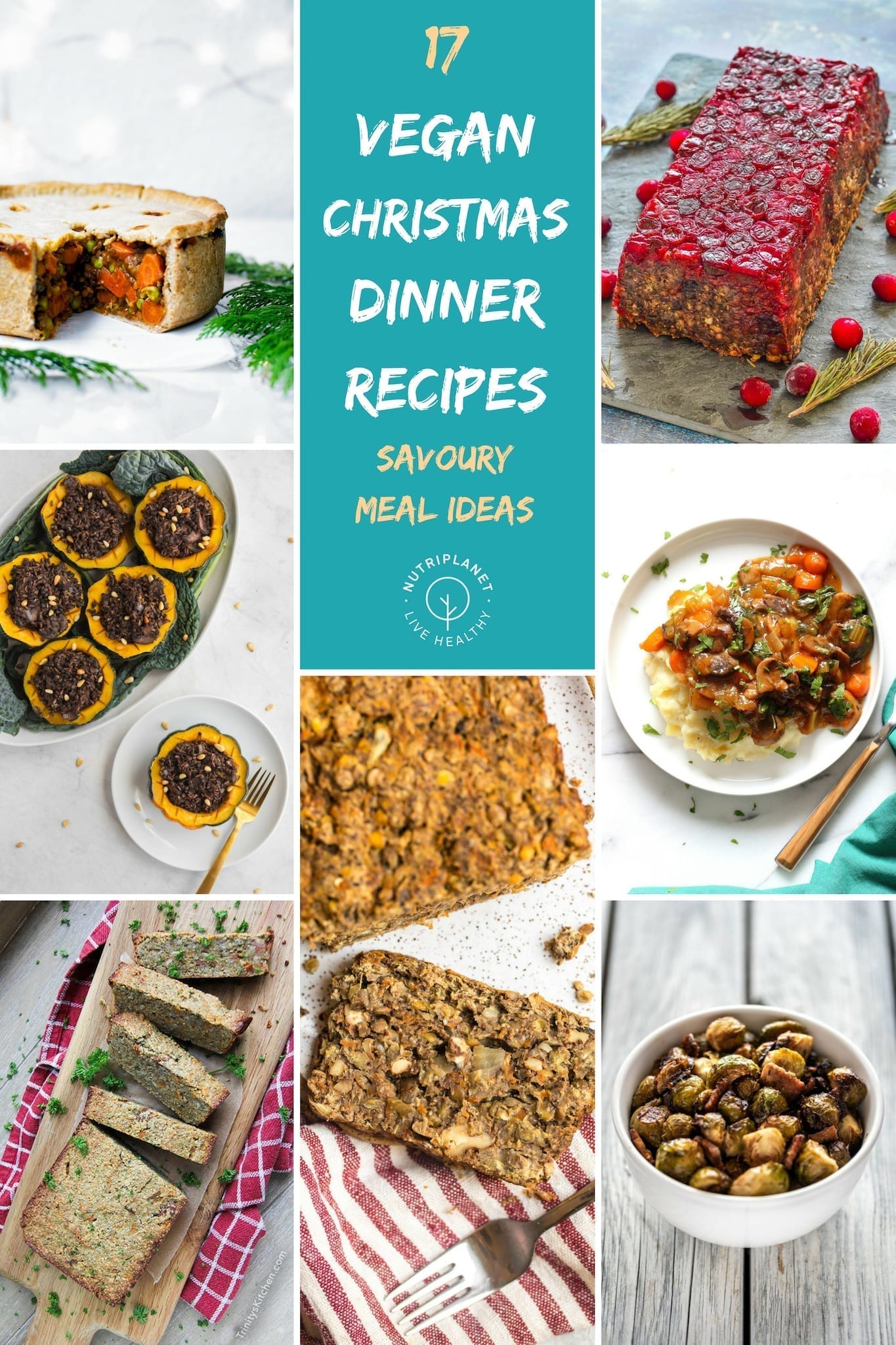 Vegan Christmas Dinner Recipes [Gluten-Free] | Nutriplanet