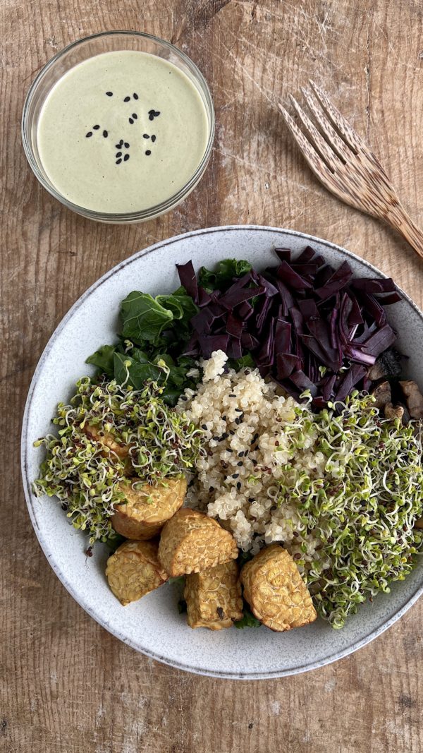 The Ultimate Bundle: Vegan Candida Cleanse + Reintroduction Meal Plans - Image 15