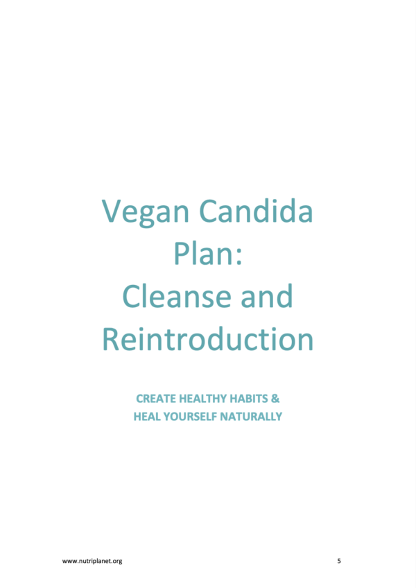 The Ultimate Bundle: Vegan Candida Cleanse + Reintroduction Meal Plans - Image 2