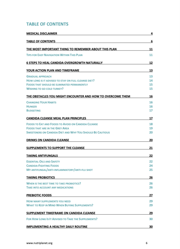 The Ultimate Bundle: Vegan Candida Cleanse + Reintroduction Meal Plans - Image 3