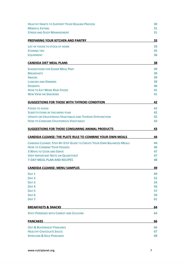 The Ultimate Bundle: Vegan Candida Cleanse + Reintroduction Meal Plans - Image 4