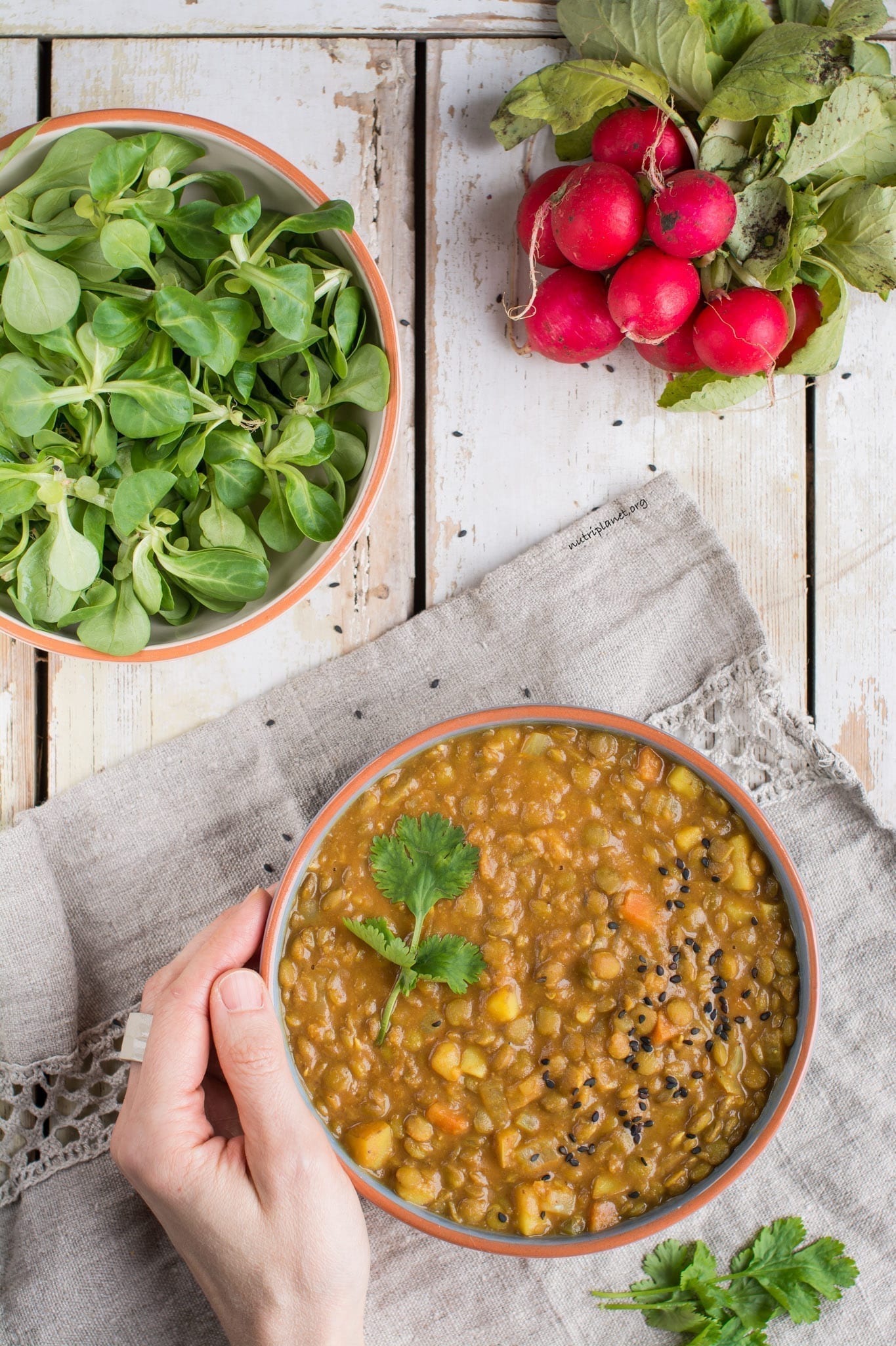 Simple Vegan Lentil Stew with Tomatoes