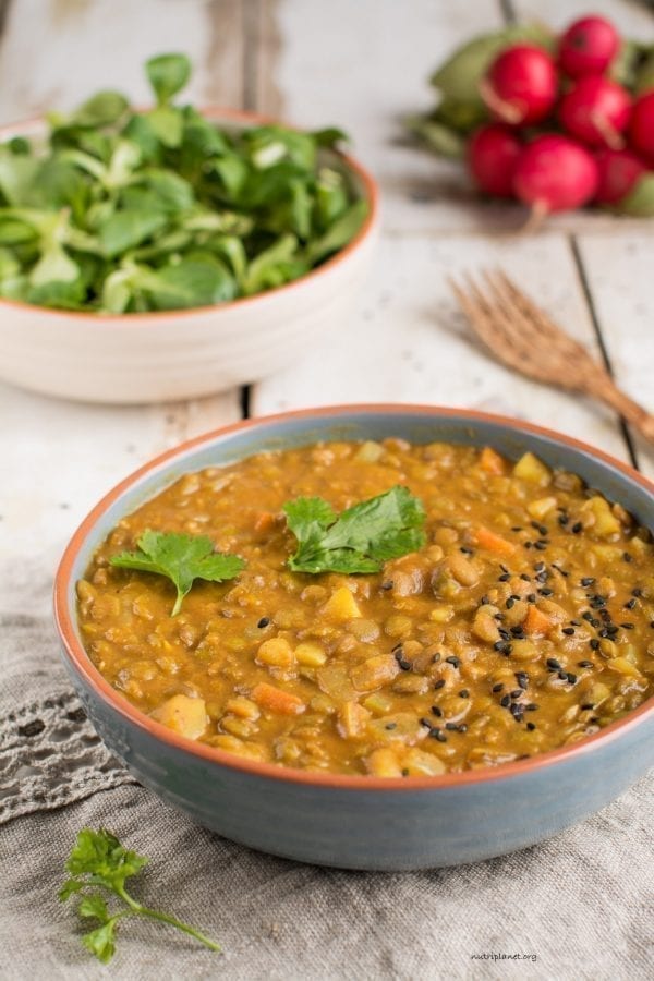 Vegan Lentil Stew with Tomatoes [Gluten-Free] | Nutriplanet