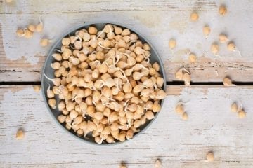 Garbanzos Germinados