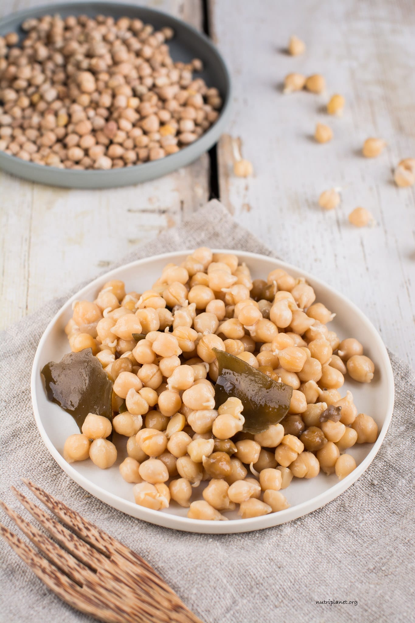 Garbanzos cocidos y germinados