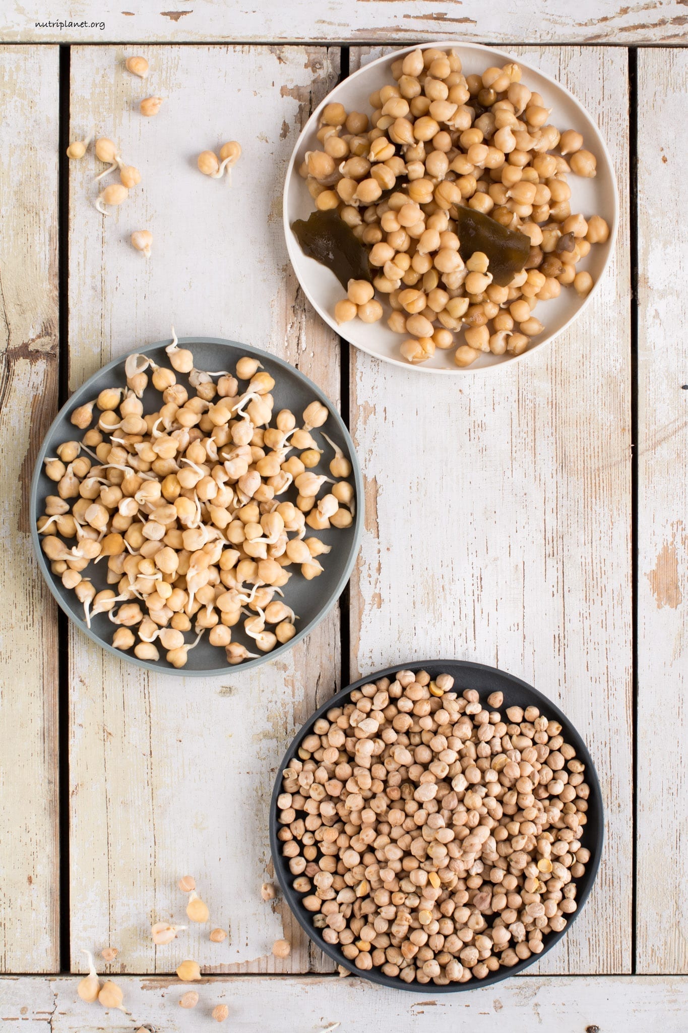 Garbanzos germinados, cómo remojar, germinar y cocinar garbanzos.