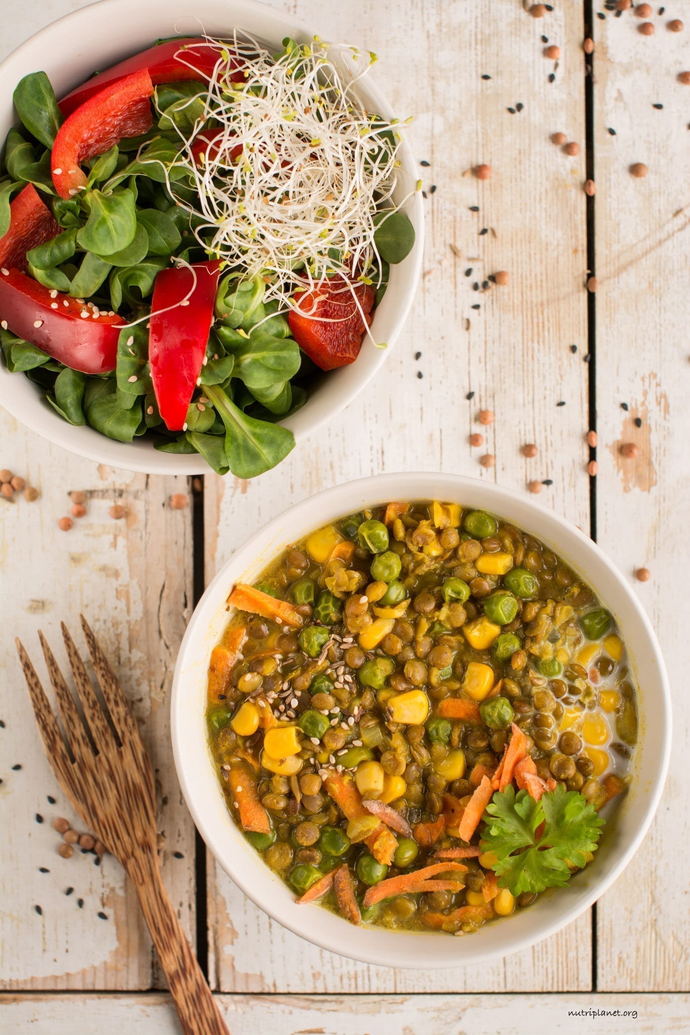 Vegan Stew with Brown Lentils, Green Peas and Corn