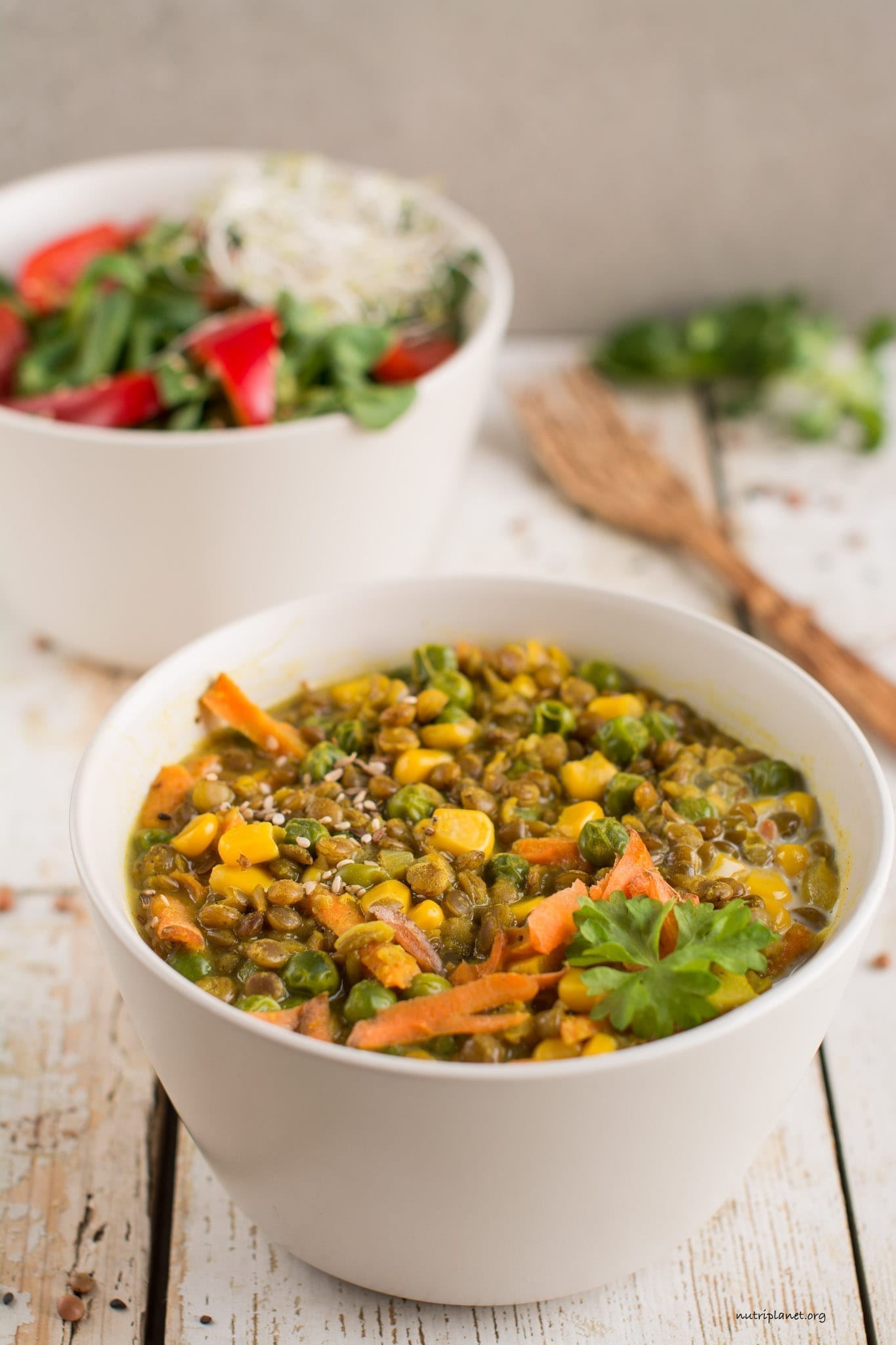 Vegan Stew with Brown Lentils, Green Peas and Corn