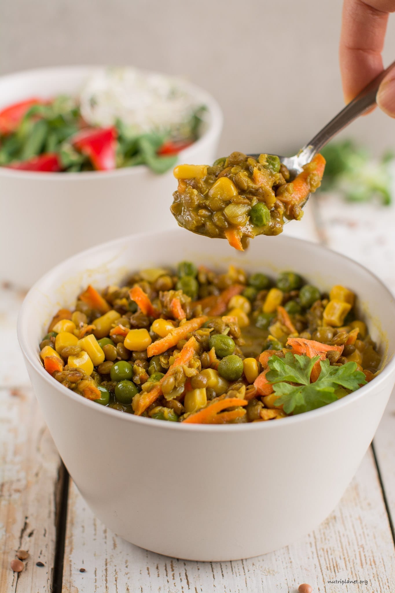 Vegan Stew with Brown Lentils, Green Peas and Corn